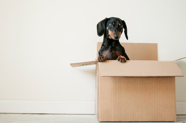 What is a moving company